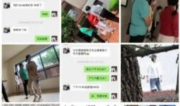 谢娜买房爆料者是谁啊视频