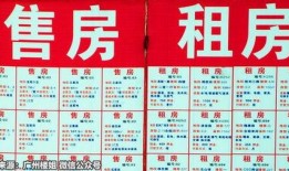 市场调整爆料视频,最新爆料视频深度解析